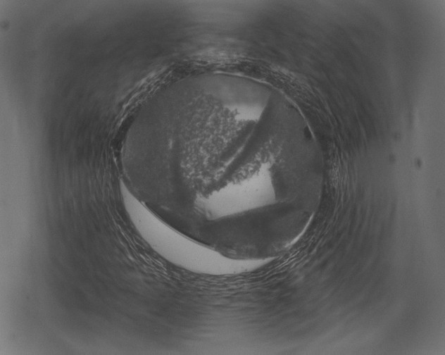 X0000068891397200605081308