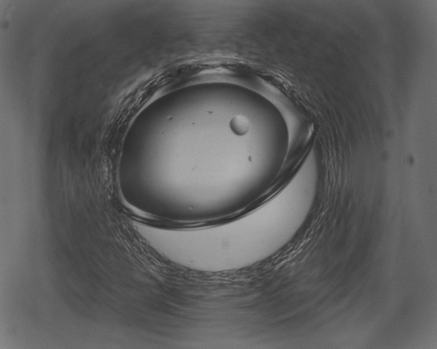 X0000068891398200605081308