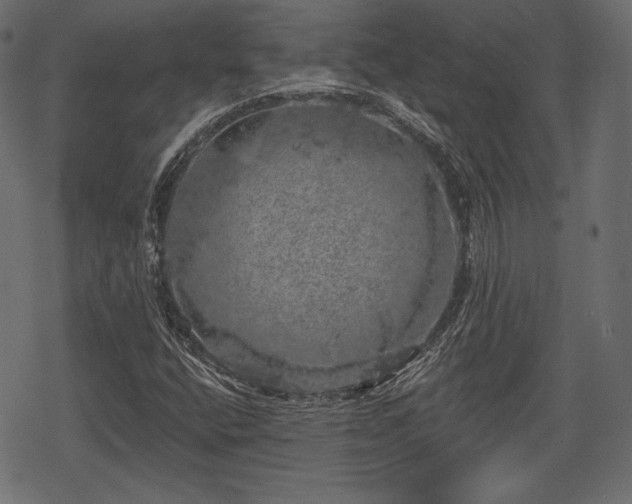 X0000068891400200605081308