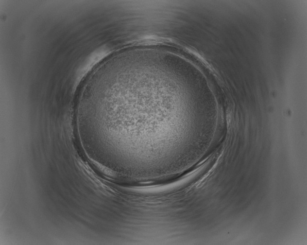 X0000068891410200605081308