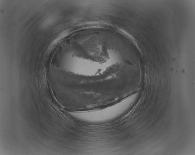 X0000068891411200605081308