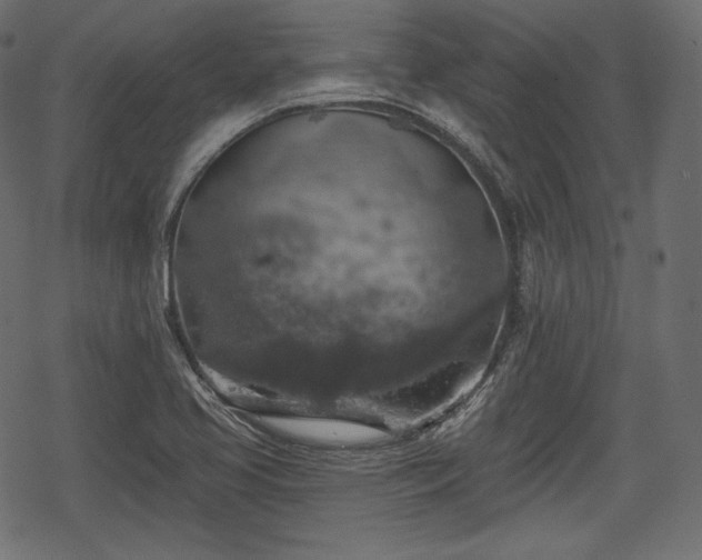X0000068891413200605081308