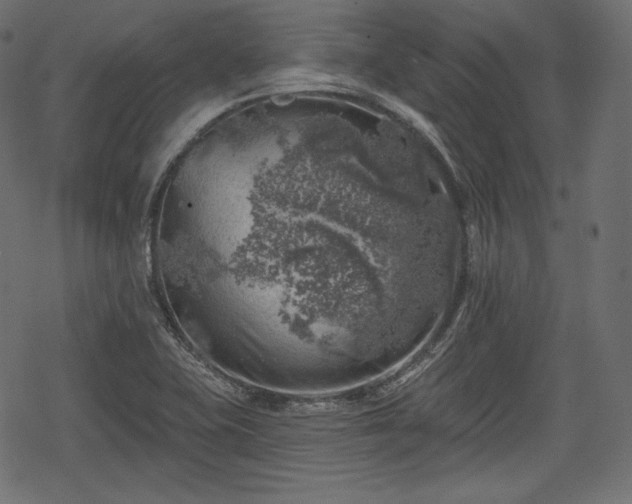 X0000068891415200605081308