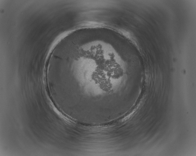 X0000068891421200605081308