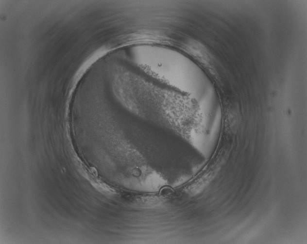 X0000068891427200605081308