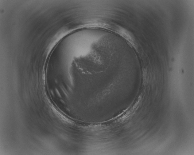X0000068891428200605081308