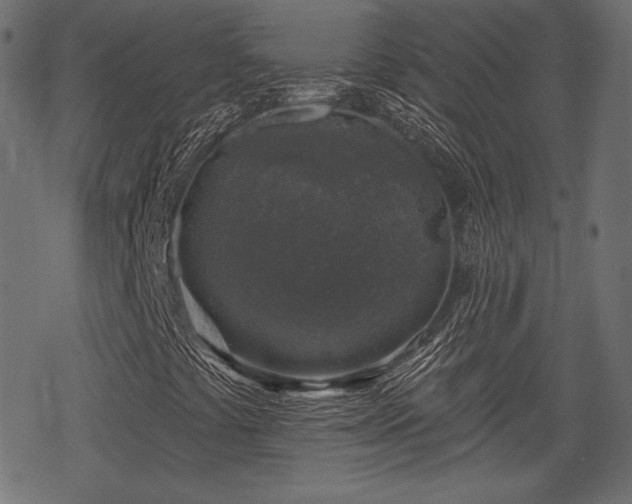 X0000068891441200605081308