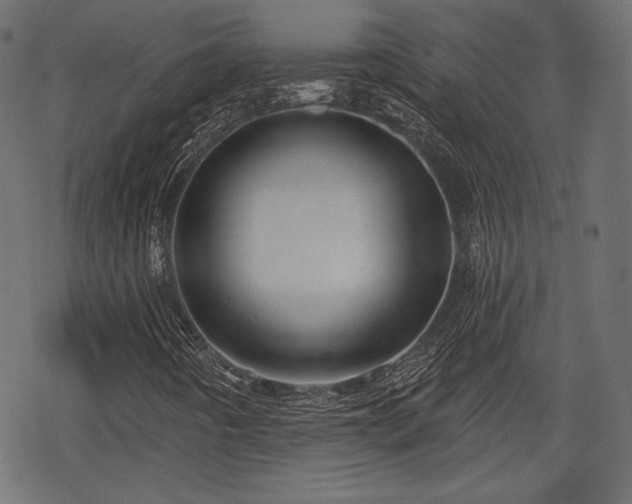 X0000068891442200605081308