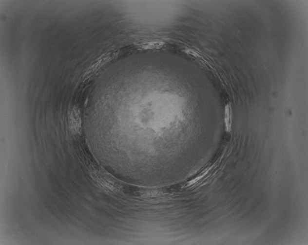 X0000068891443200605081308