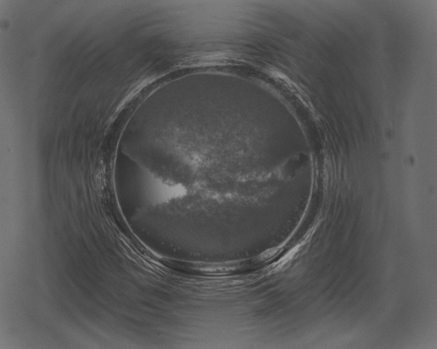 X0000068891449200605081307
