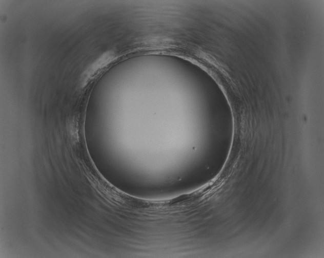 X0000068891451200605081307