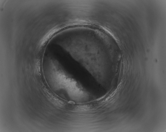 X0000068891455200605081307