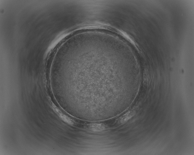 X0000068891456200605081307