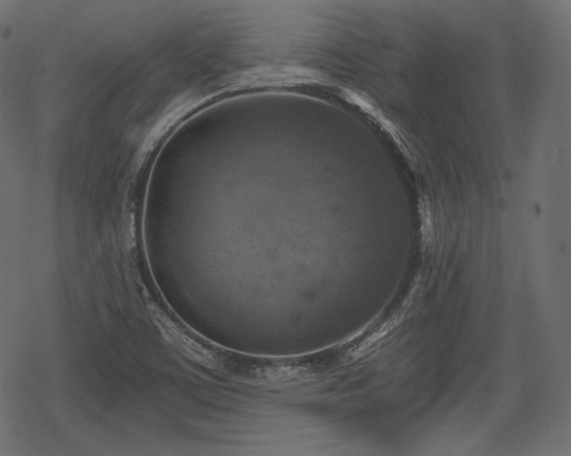 X0000068891459200605081307