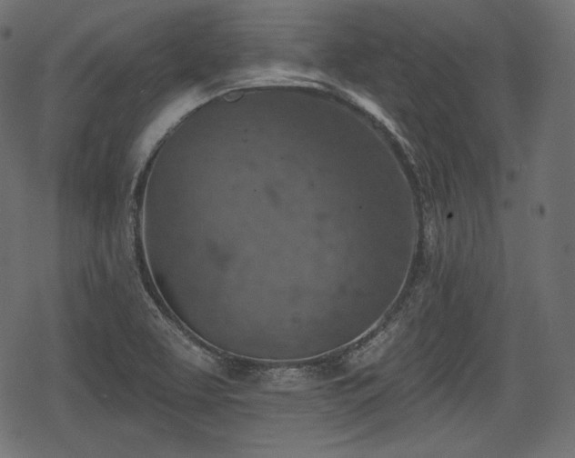 X0000068891463200605081307