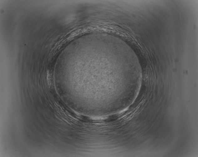 X0000068891490200605081306