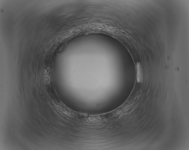 X0000068891491200605081306
