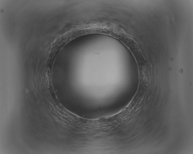 X0000068891493200605081306