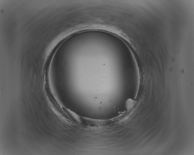 X0000068891511200605081306