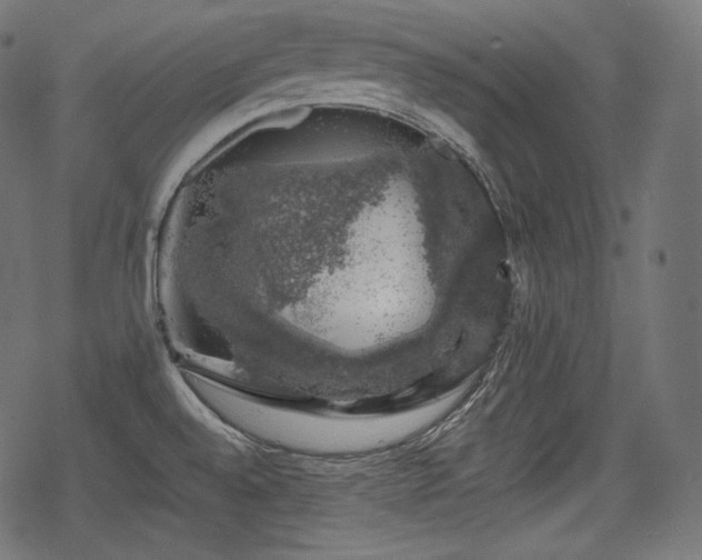 X0000068891528200605081307