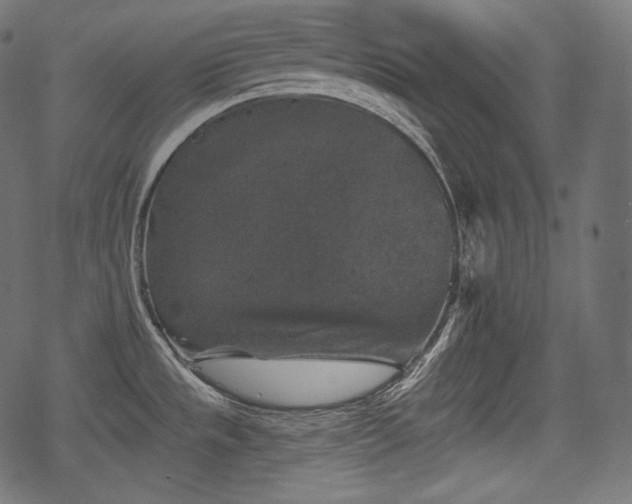 X0000068891533200605081307