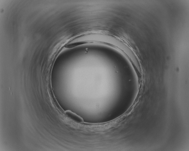 X0000068890001200605122046