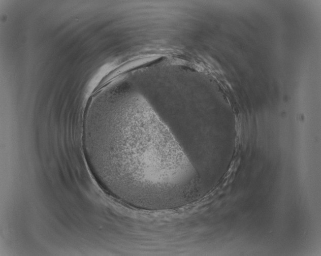 X0000068890003200605122046