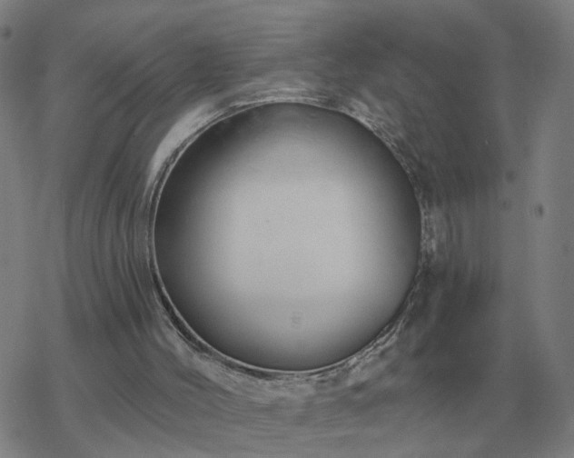 X0000068890004200605122046