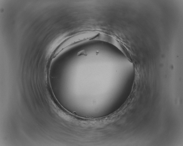 X0000068890005200605122046