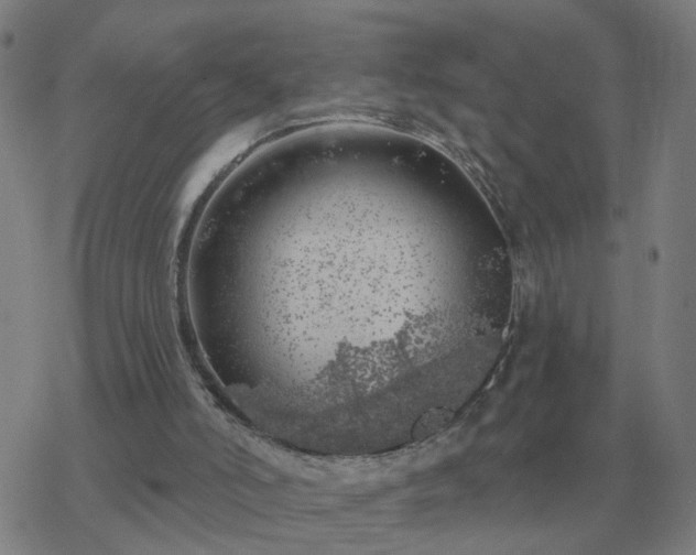 X0000068890006200605122046