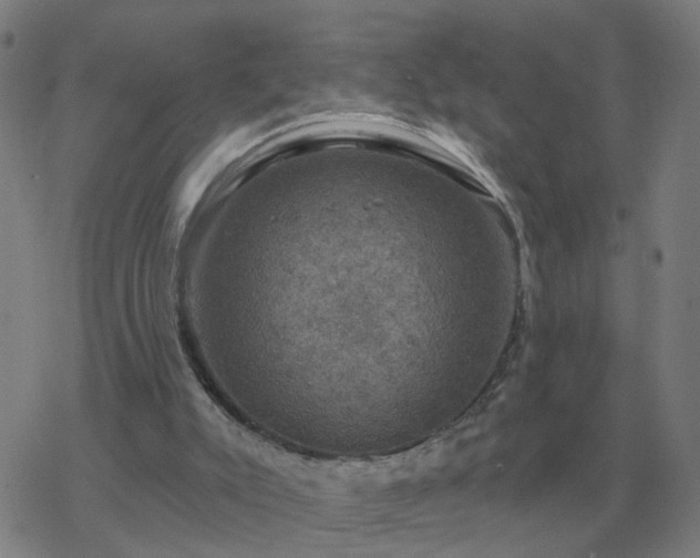 X0000068890007200605122046