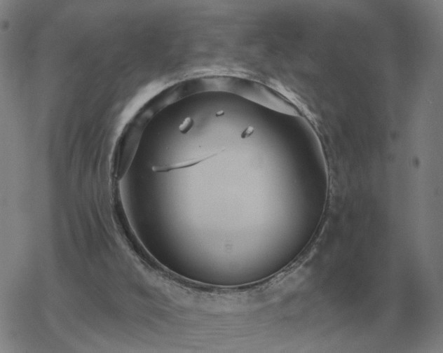 X0000068890008200605122046