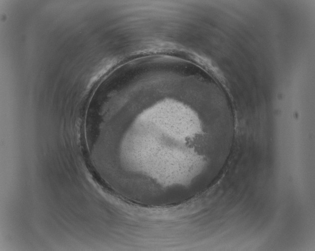 X0000068890010200605122045