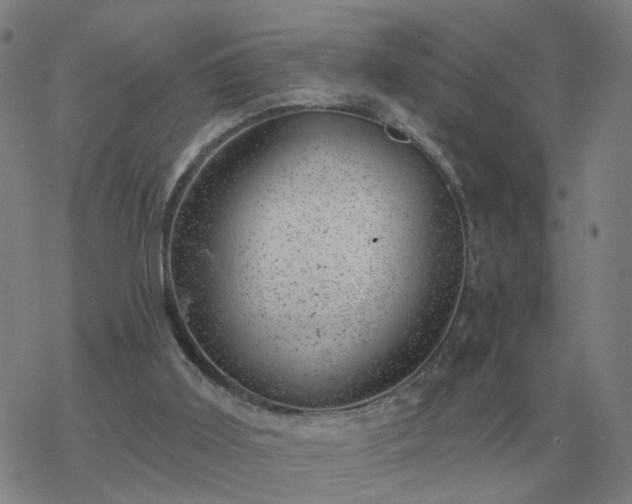 X0000068890011200605122045