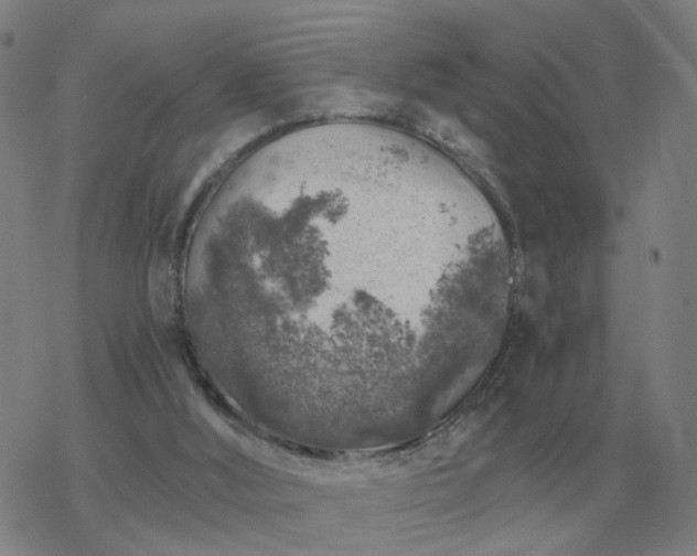 X0000068890012200605122045