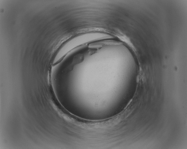 X0000068890013200605122045