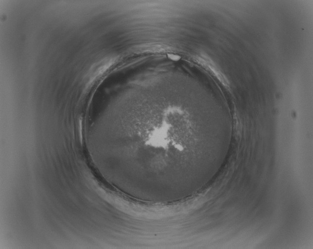 X0000068890014200605122045