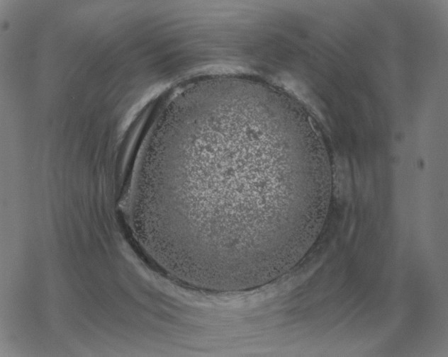 X0000068890015200605122045