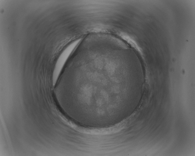 X0000068890017200605122045