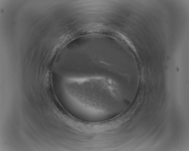 X0000068890018200605122045