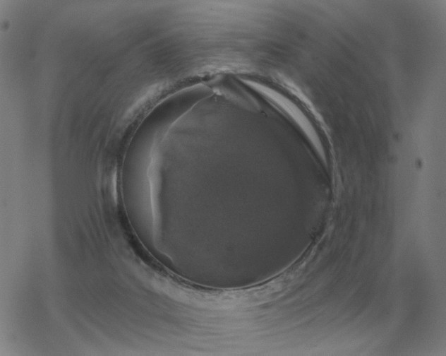 X0000068890019200605122045