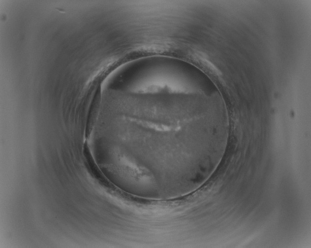 X0000068890020200605122045