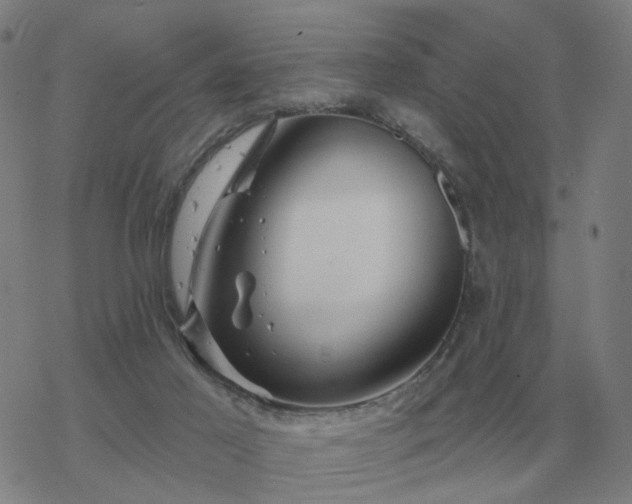 X0000068890021200605122045