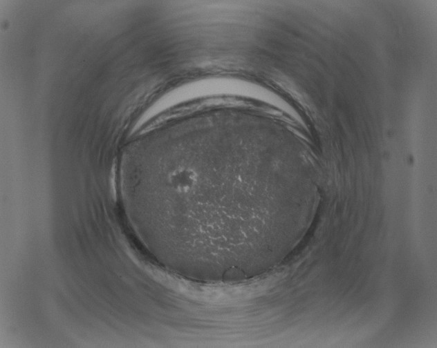 X0000068890022200605122045