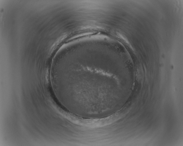 X0000068890023200605122045