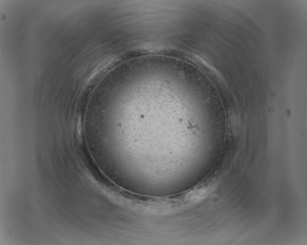 X0000068890024200605122045