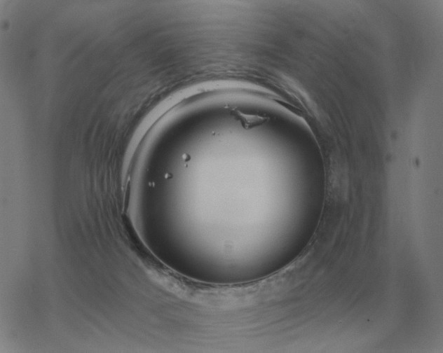 X0000068890025200605122045