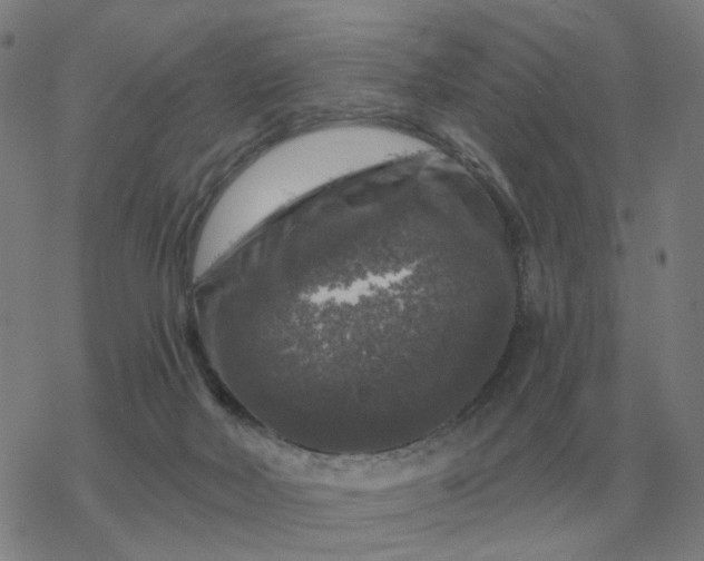 X0000068890026200605122045