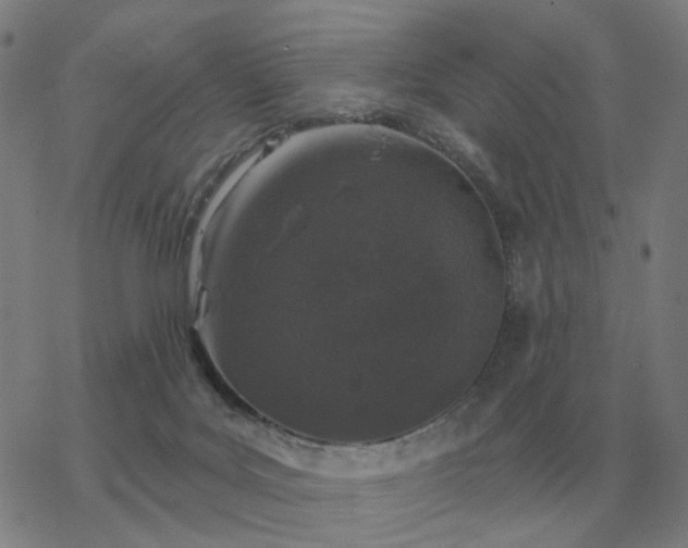 X0000068890027200605122045