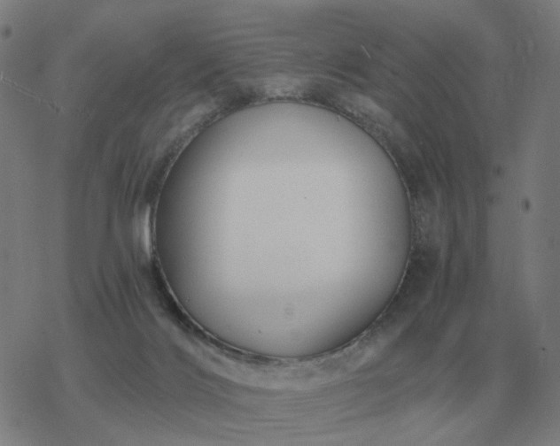 X0000068890028200605122045